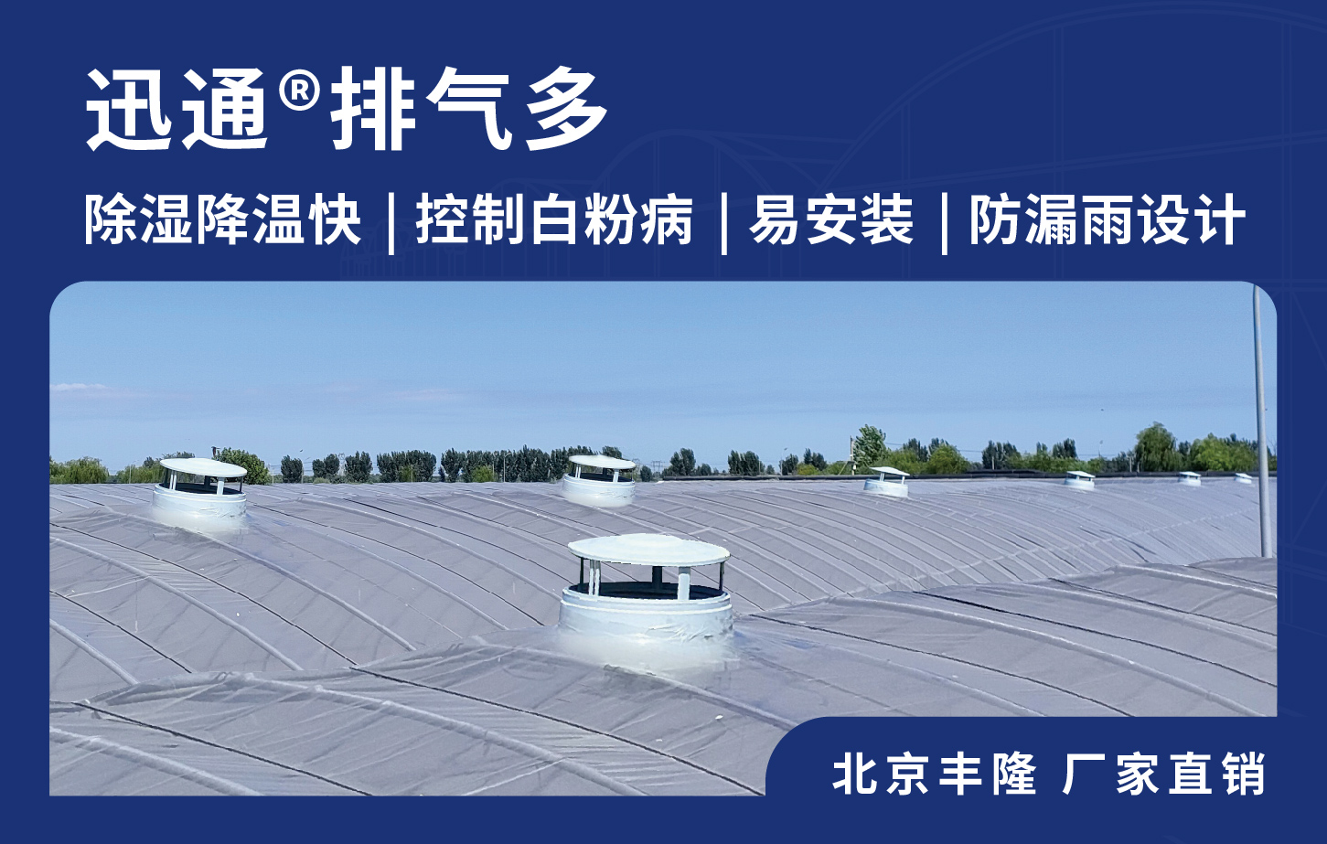 迅通溫室頂部風(fēng)機(jī)排風(fēng)扇 除濕通風(fēng)降溫 北京豐隆 廠家直銷 照片