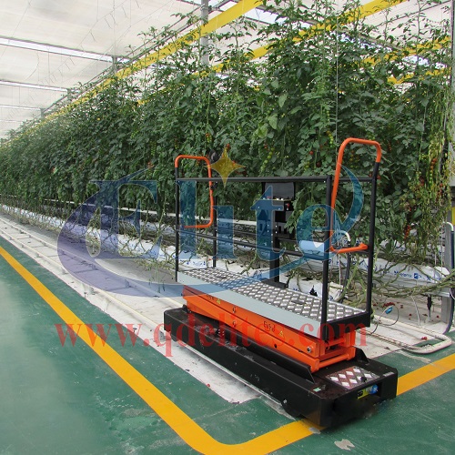 伊萊特采摘車 照片