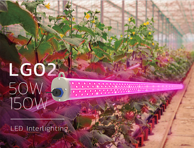 LED 株間燈LG02 照片